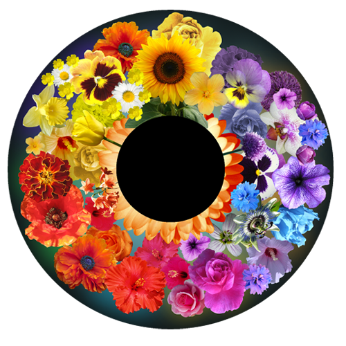 גלגל אפקטים 6 אינץ' - שפע פרחים - תמונה מספר 1
