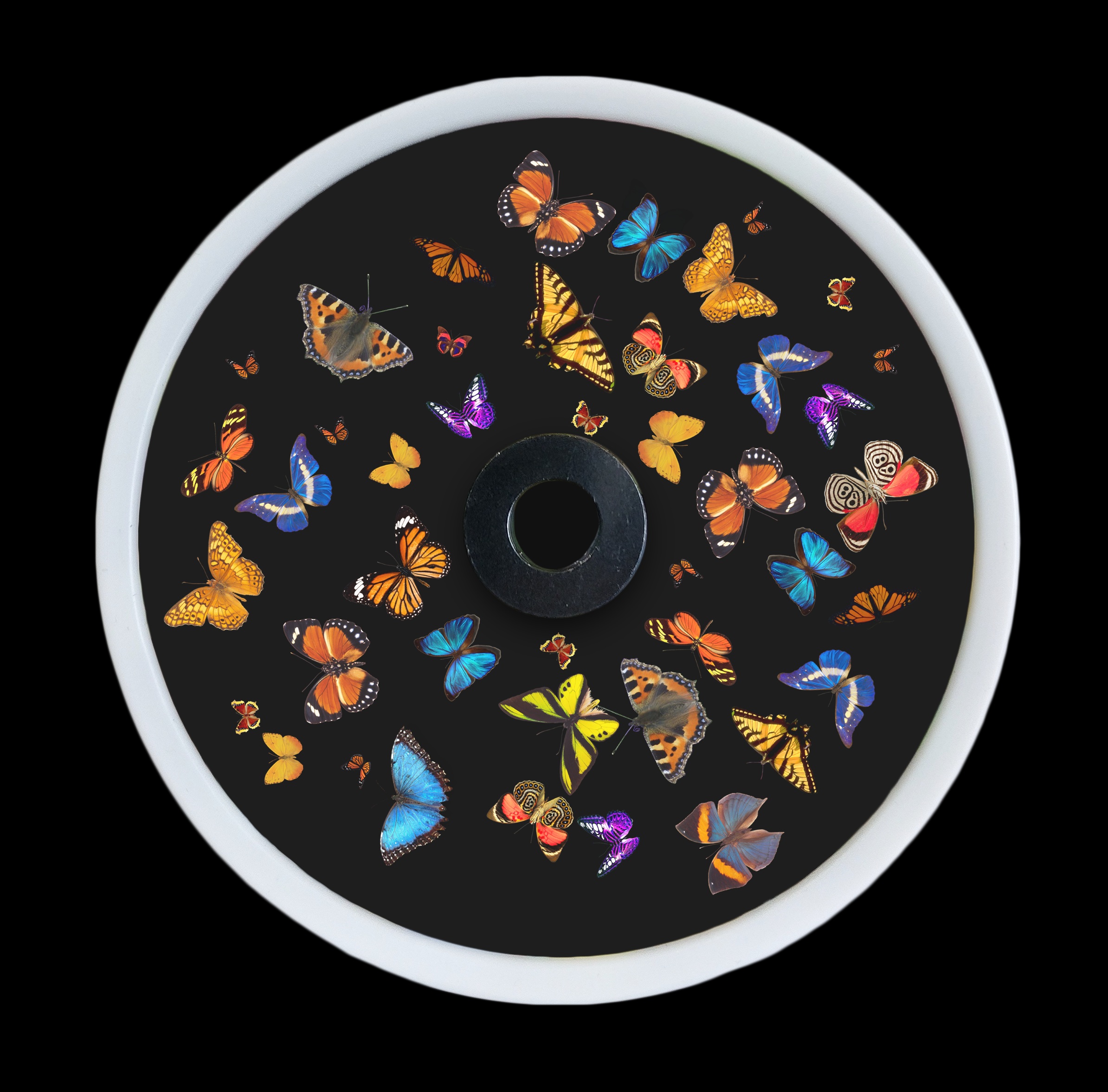 גלגל אפקטים דגם פרפרים - תמונה מספר 1